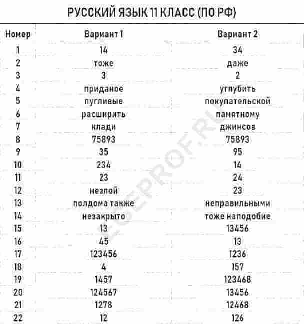 Итоговый проект по русскому языку 11 класс